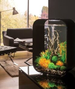 Alternative view of AQUARIUM LIFE AVEC ECLAIRAGE