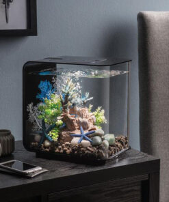 Alternative view of AQUARIUM FLOW AVEC ECLAIRAGE