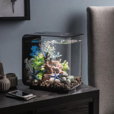 AQUARIUMS biOrb_JARDIN AQUATIQUE
