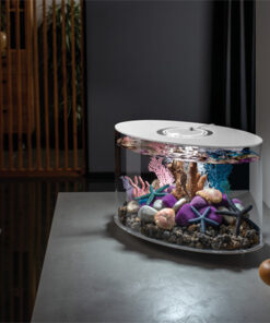 Alternative view of AQUARIUM LOOP AVEC ECLAIRAGE