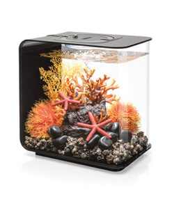 AQUARIUM FLOW AVEC ECLAIRAGE