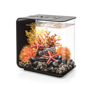 AQUARIUM FLOW AVEC ECLAIRAGE