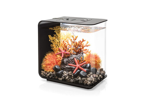 AQUARIUM FLOW AVEC ECLAIRAGE