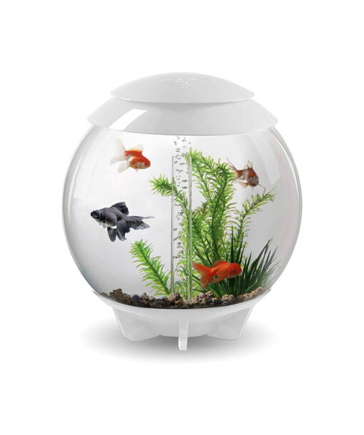 AQUARIUM HALO 30 AVEC ECLAIRAGE