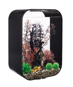 AQUARIUM LIFE AVEC ECLAIRAGE
