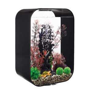 AQUARIUM LIFE AVEC ECLAIRAGE