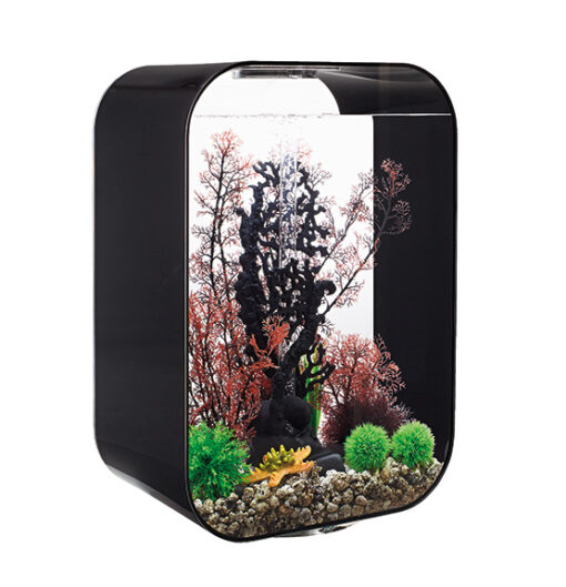 AQUARIUM LIFE AVEC ECLAIRAGE