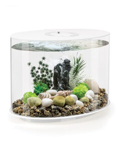 AQUARIUM LOOP AVEC ECLAIRAGE