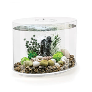 AQUARIUM LOOP AVEC ECLAIRAGE