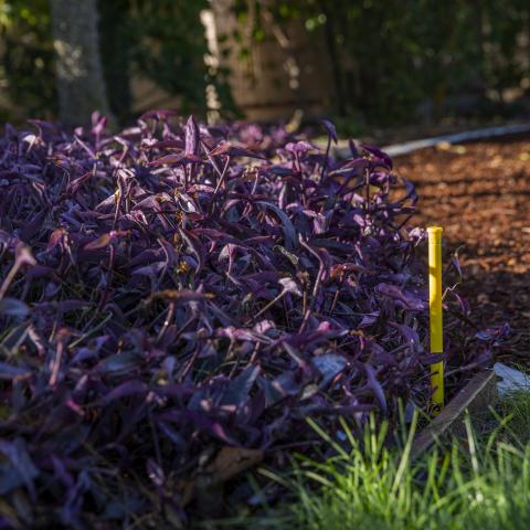 MICRO IRRIGATION